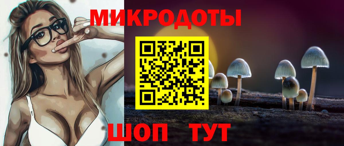 как найти закладки  Псилоцибиновые грибы Cubensis  Камень-на-Оби  Вход с VPN  Галлюциногенные грибы Cubensis 