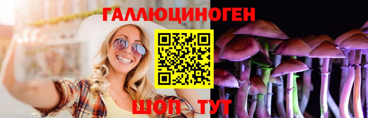 Галлюциногенные грибы Magic Shrooms Камень-на-Оби